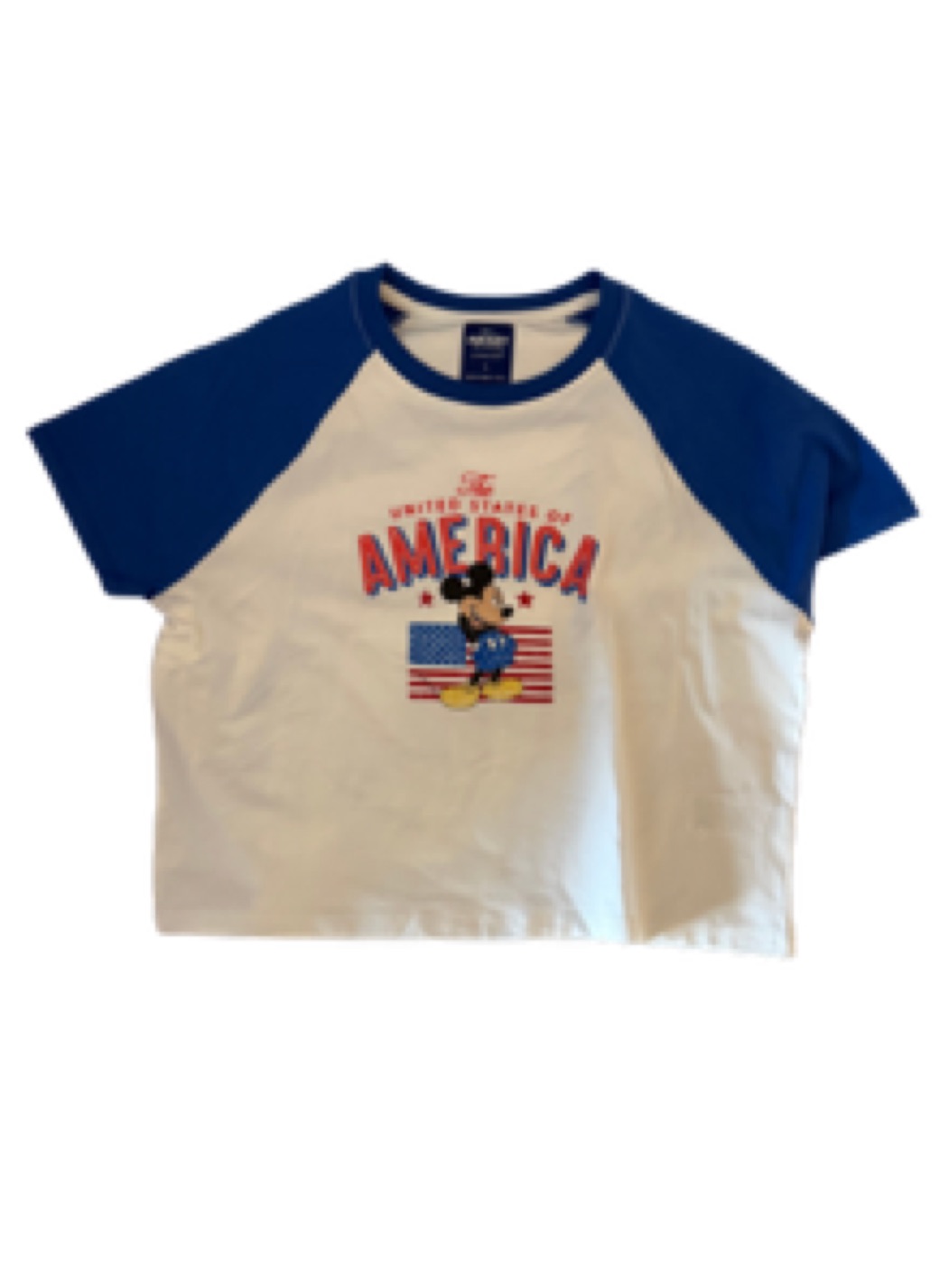Primark Primark x Mickey & Friends USA Raglan Crop Tee